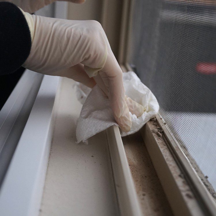 Trash and Cleaning services in Hattiesburg, MS Trash and Cleaning services in Hattiesburg, MS